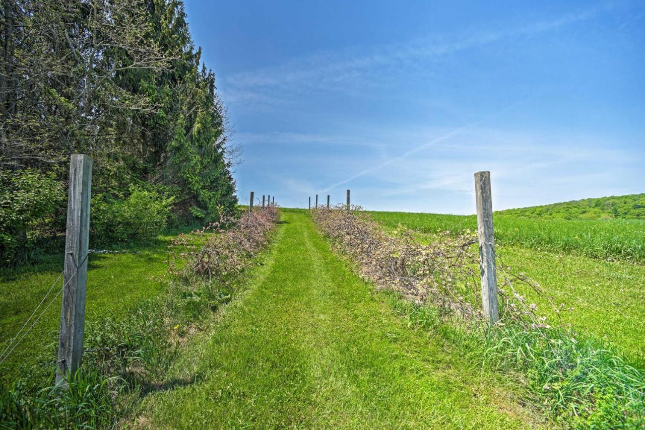 Country Escape With Sauna, 10 Mi To Cooperstown Richfield Springs Exteriör bild