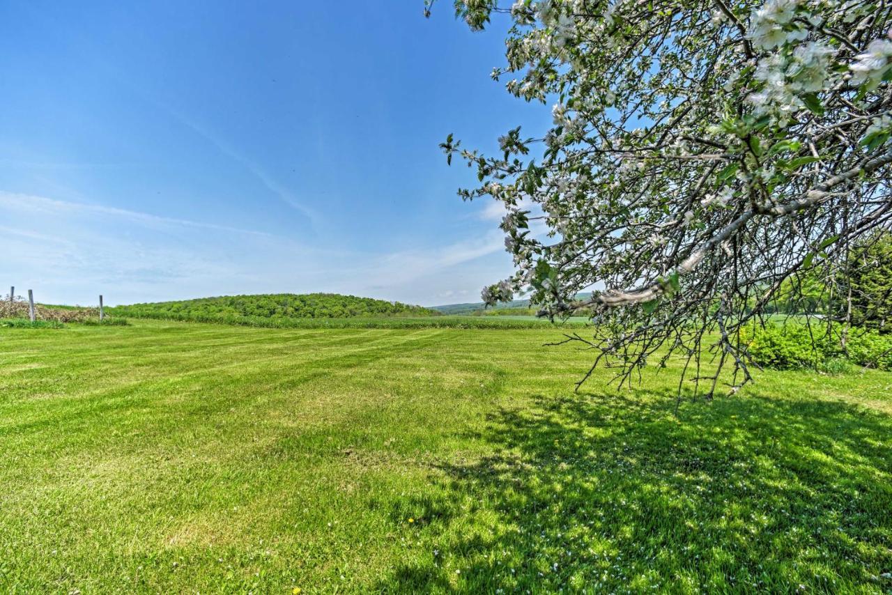 Country Escape With Sauna, 10 Mi To Cooperstown Richfield Springs Exteriör bild